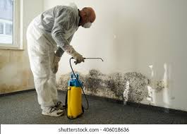 Best Mold Odor Removal Services  in Denton, MD